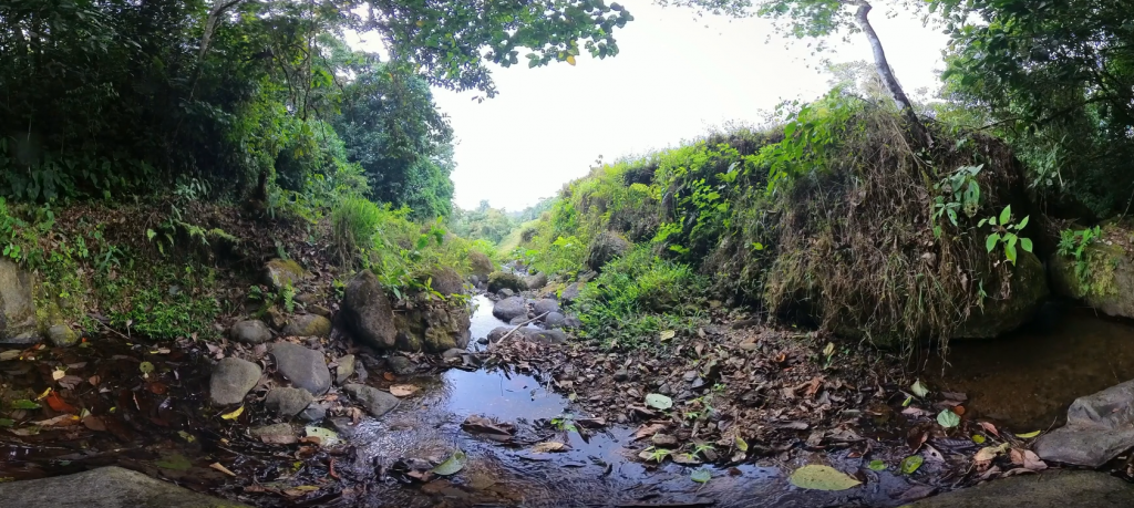 Enjoy a relaxing stream running through jungle of Costa Rica in VR360