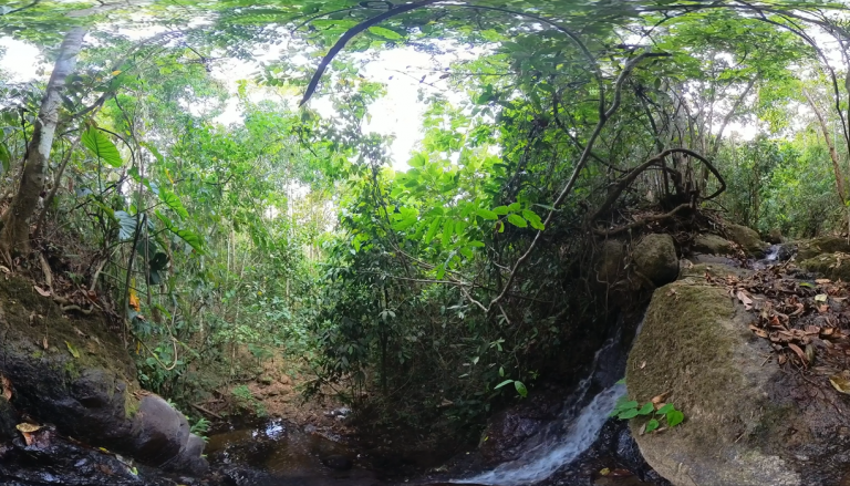 Jungle Waterfall in Costa Rica